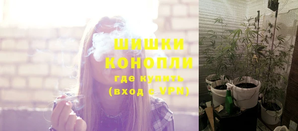 дурь Арсеньев