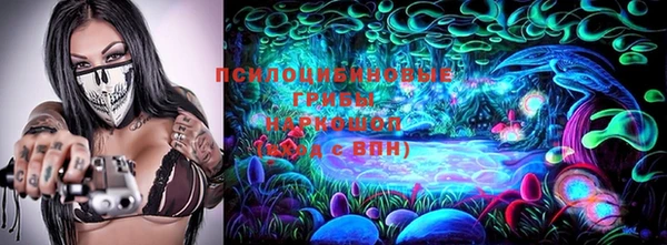 дурь Арсеньев