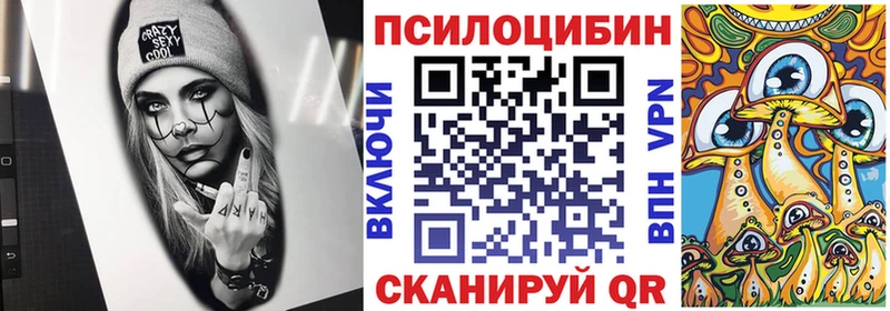Галлюциногенные грибы Psilocybine cubensis  купить наркотики цена  Кинель 