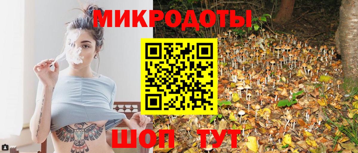 Псилоцибиновые грибы прущие грибы Кинель