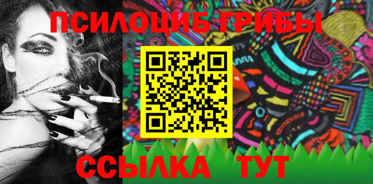 Кинель  Псилоцибиновые грибы MAGIC MUSHROOMS  Вход с VPN 