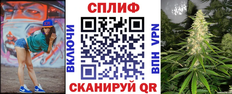 Бошки Шишки планчик  Кинель 